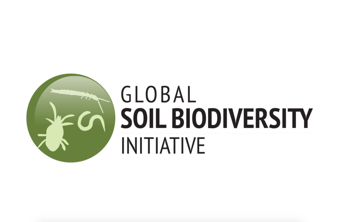 Global Soil Biodiversiy Initiative